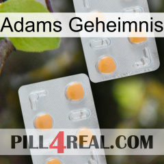 Adams Secret 25